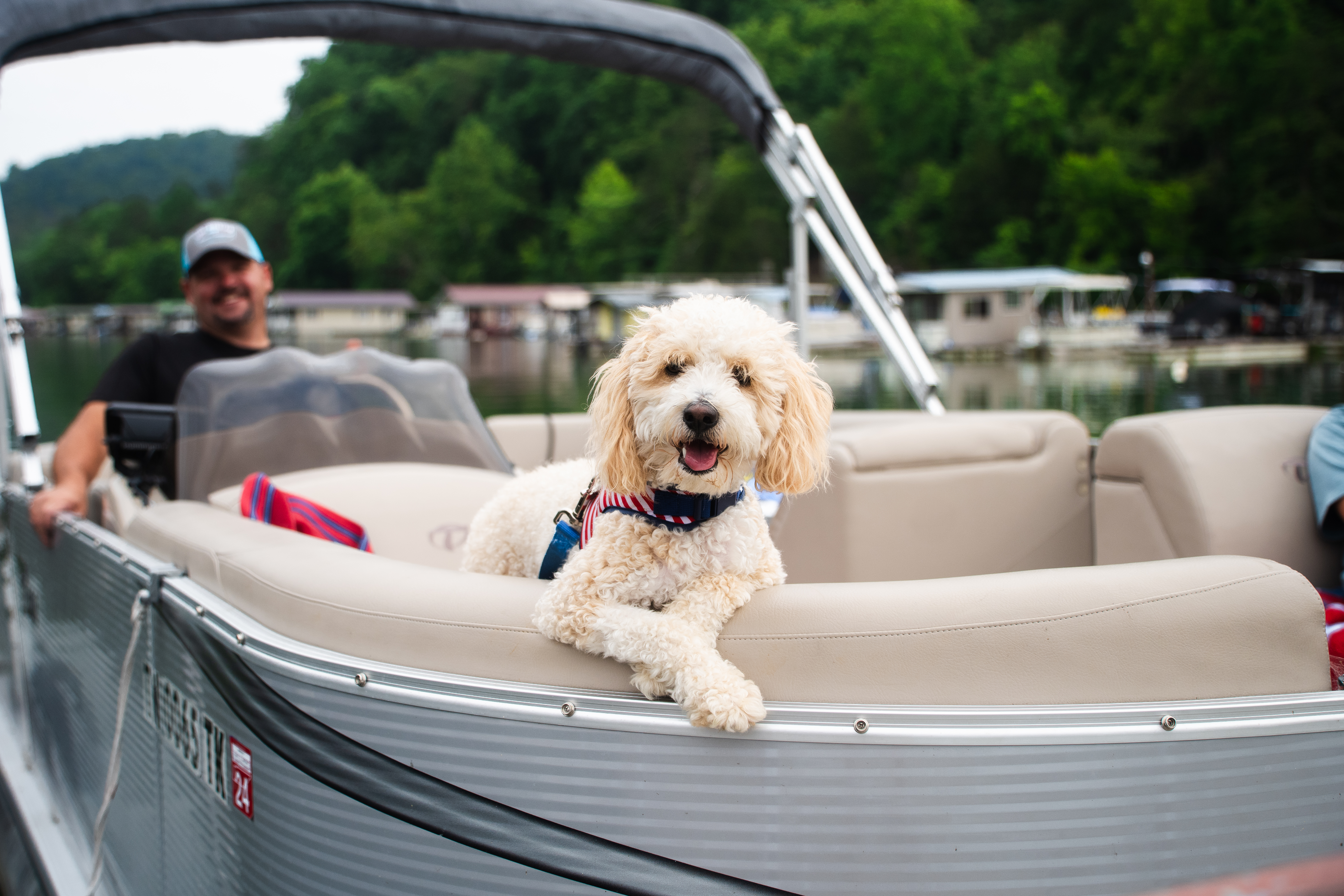 boat rentals